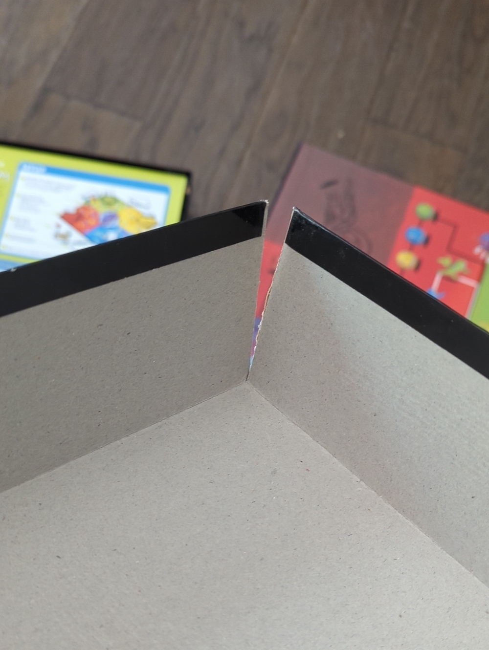 Cranium - Picture 5 of 6